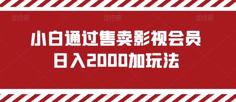 小白通过售卖影视会员日入2000加玩法-青禾学社