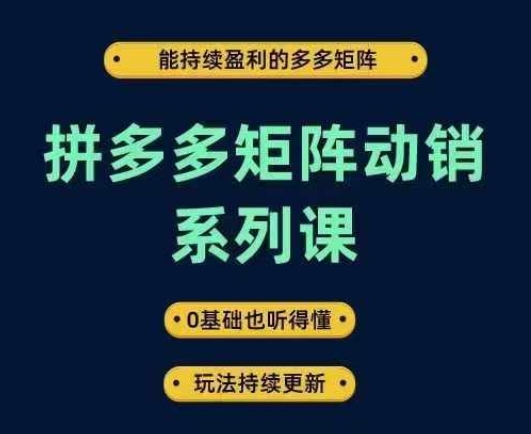 拼多多矩阵动销系列课,能持续盈利的多多矩阵,0基础也听得懂,玩法持续更新-青禾学社