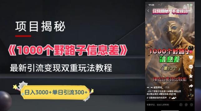 一千个野路子信息差最新玩法教程-变现+引流的玩法具体拆解【揭秘】-青禾学社