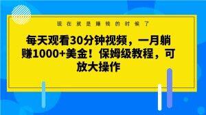 每天观看30分钟视频,一月躺赚1000+美金!保姆级教程,可放大操作【揭秘】-青禾学社