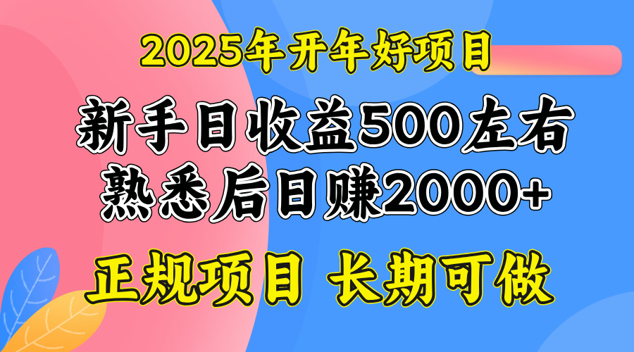 2025开年好项目,单号日收益2000左右-青禾学社