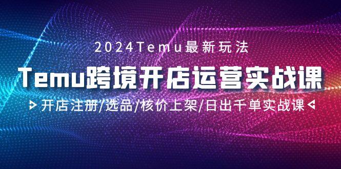 2024Temu跨境开店运营实战课,开店注册/选品/核价上架/日出千单实战课-青禾学社