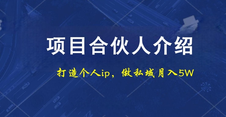 项目合伙人项目，打造个人IP，做私域月入5W，小白勿扰-青禾学社