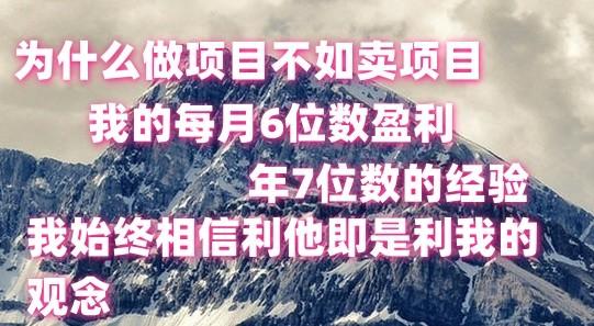 做项目不如卖项目，每月6位数盈利，年7位数经验-青禾学社