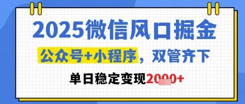 2025微信风口掘金,公众号+小程序双管齐下,单日稳定变现1k+【揭秘】-青禾学社
