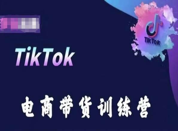 TikTok电商带货训练营，跟随时代潮流，跨境掘金-青禾学社