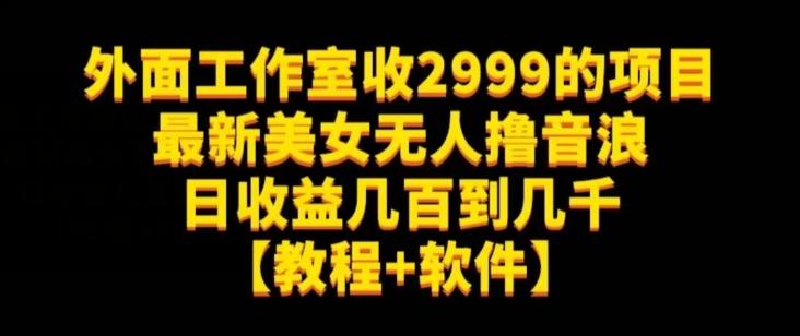 外面工作室收2999的项目最新美女无人撸音浪日收益几百到几千【教程+软件】（仅揭秘）-青禾学社