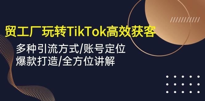 外贸工厂玩转TikTok高效获客,多种引流方式/账号定位/爆款打造/全方位讲解-青禾学社