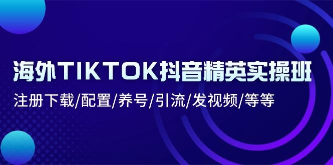 海外TIKTOK抖音精英实操班：注册下载/配置/养号/引流/发视频/等等-青禾学社
