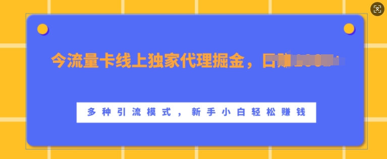 流量卡线上独家代理掘金,日入1k+ ,多种引流模式,新手小白轻松上手【揭秘】-青禾学社