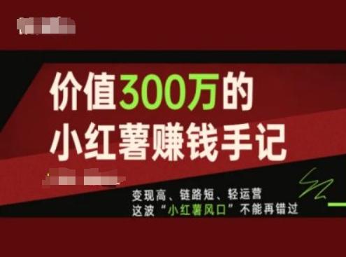 价值300万的小红书赚钱手记,变现高、链路短、轻运营,这波“小红薯风口”不能再错过-青禾学社