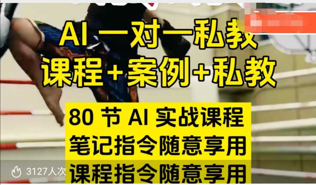 AI指令实战课，课程+案例，80节AI实战课程，笔记指令随意享用，课程指令随意享用(更新7月)-青禾学社