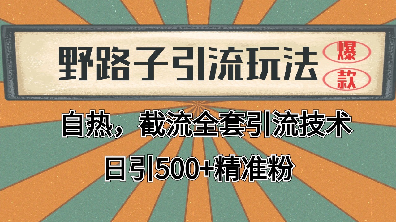 2024首发野路子引流玩法截流自热全平台打法，全自动引流【日引2000+精准客户】-青禾学社