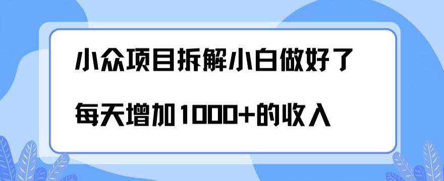 小众项目拆解，小白做好了每天可增加1000多的收入-青禾学社