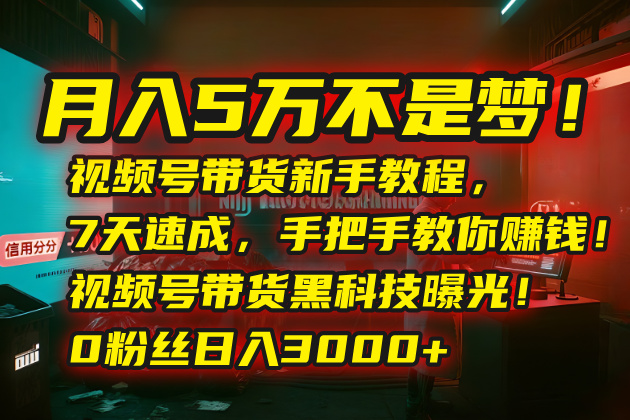 月入5万不是梦！视频号带货新手教程，7天速成，手把手教你赚钱！视频号…-青禾学社