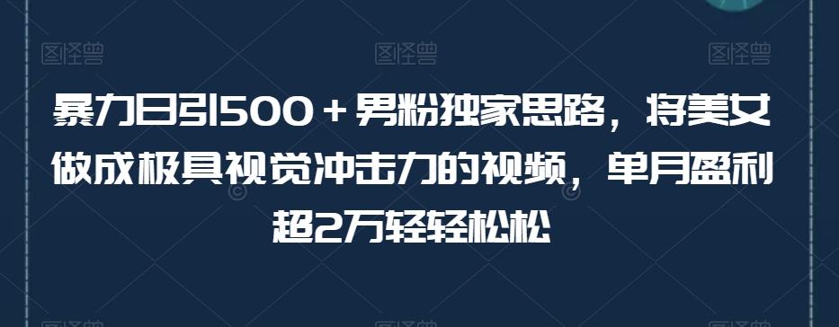 暴力日引500+男粉独家思路,将美女做成极具视觉冲击力的视频,单月盈利超2万轻轻松松-青禾学社