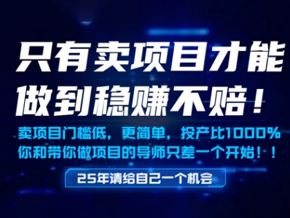 只有卖项目才能做到稳挣不赔,门槛低,更简单,你也可以年入百个W【揭秘】-青禾学社