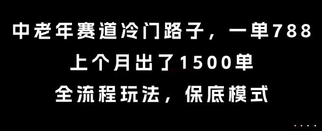 中老年赛道冷门路子,一单788,上个月出了1500单,全流程玩法,保底模式【揭秘】-青禾学社