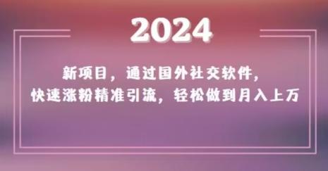2024新项目，通过国外社交软件，快速涨粉精准引流，轻松做到月入上万【揭秘】-青禾学社