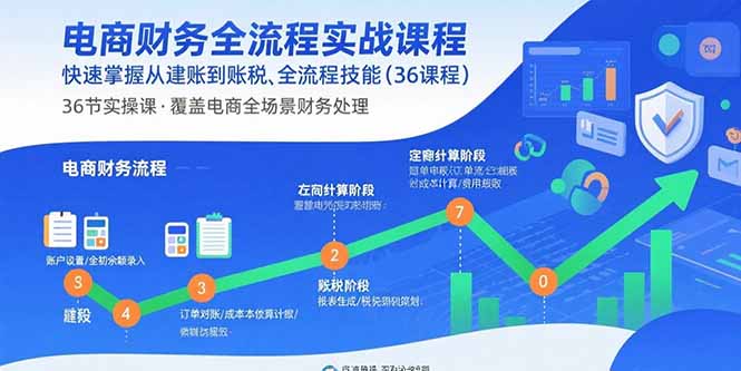 电商财务全流程实战课程：快速掌握从建账到报税的全流程技能(36节课-青禾学社
