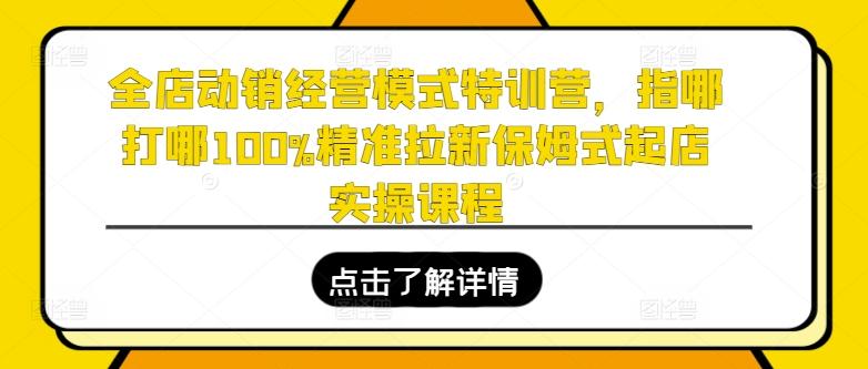 全店动销经营模式特训营，指哪打哪100%精准拉新保姆式起店实操课程-青禾学社
