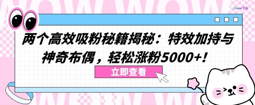 两个高效吸粉秘籍揭秘:特效加持与神奇布偶,轻松涨粉5000+【揭秘】-青禾学社