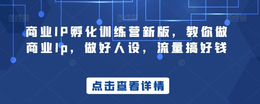 商业IP孵化训练营新版，教你做商业Ip，做好人设，流量搞好钱-青禾学社