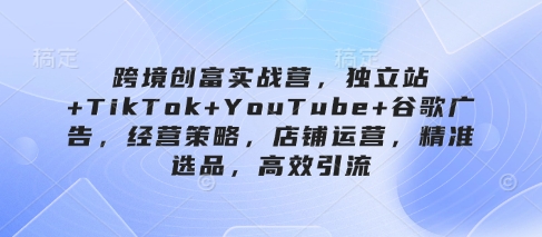跨境创富实战营,独立站+TikTok+YouTube+谷歌广告,经营策略,店铺运营,精准选品,高效引流-青禾学社