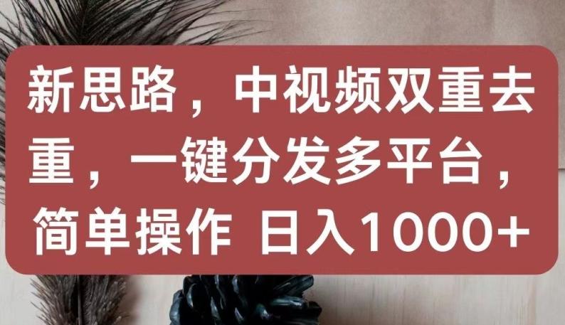新思路，中视频双重去重，一键分发多平台，简单操作，日入1000+【揭秘】-青禾学社
