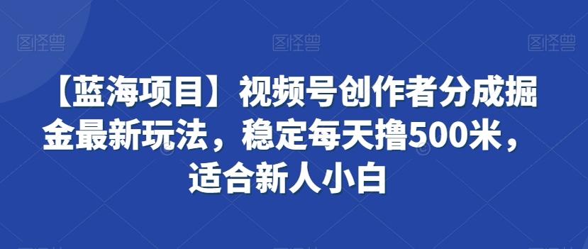 【蓝海项目】视频号创作者分成掘金最新玩法,稳定每天撸500米,适合新人小白【揭秘】-青禾学社