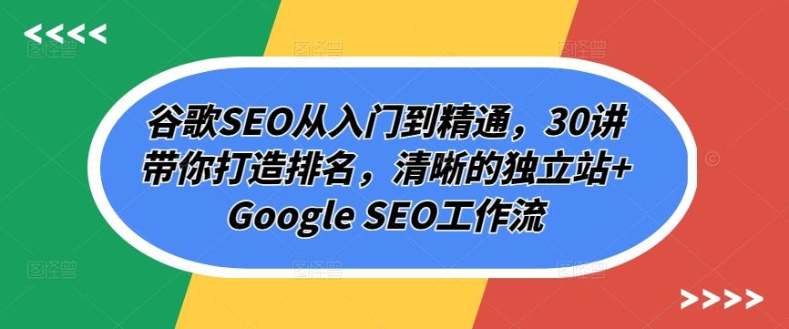 谷歌SEO从入门到精通,30讲带你打造排名,清晰的独立站+Google SEO工作流-青禾学社