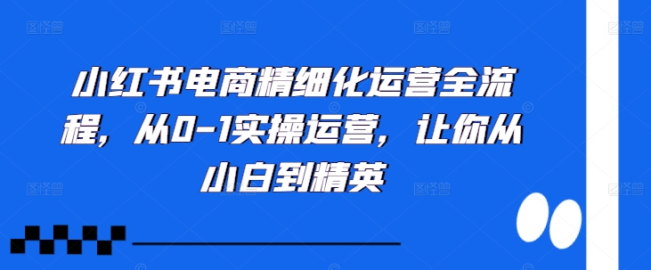 小红书电商精细化运营全流程，从0-1实操运营，让你从小白到精英-青禾学社