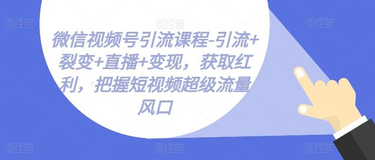 微信视频号引流课程-引流+裂变+直播+变现，获取红利，把握短视频超级流量风口-青禾学社