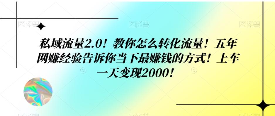 私域流量2.0!教你怎么转化流量!五年网赚经验告诉你当下最赚钱的方式!上车一天变现2000!-青禾学社