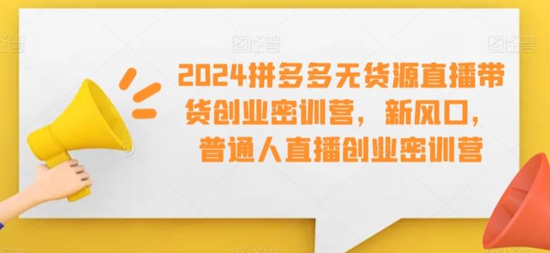 2024拼多多无货源直播带货创业密训营,新风口,普通人直播创业密训营-青禾学社
