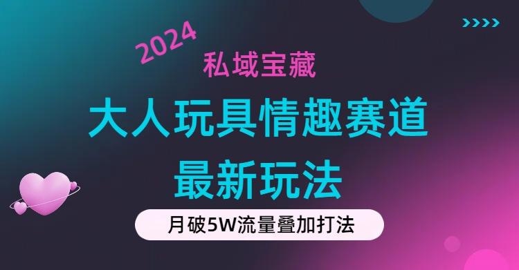 私域宝藏：大人玩具情趣赛道合规新玩法，零投入，私域超高流量成单率高-青禾学社