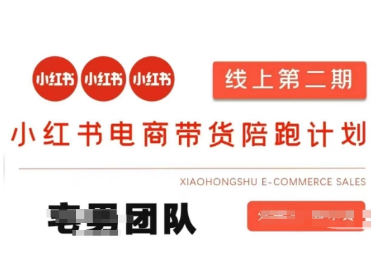 小红书电商带货课2期，月利润20个的小红书电商的有货源，无货源，虚拟产品，付费投流等整套玩法-青禾学社