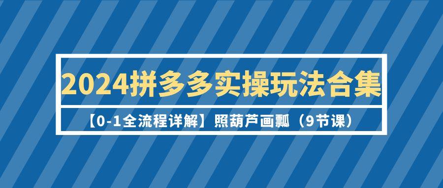 (9559期)2024拼多多实操玩法合集【0-1全流程详解】照葫芦画瓢(9节课)-青禾学社