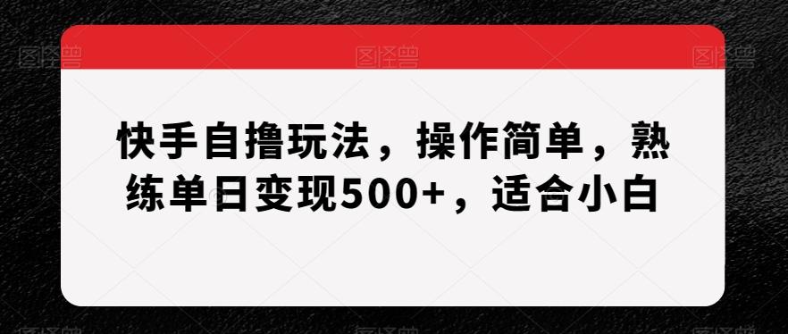 快手自撸玩法，操作简单，熟练单日变现500+，适合小白【揭秘】-青禾学社