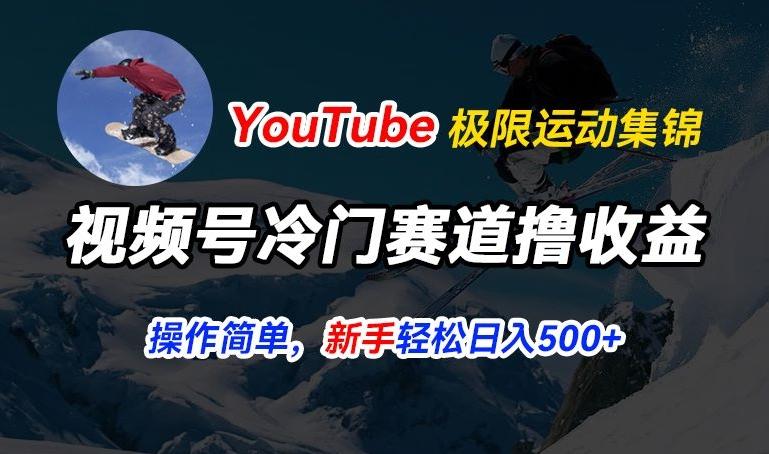 视频号冷门赛道撸收益,YouTube搬运极限运动集锦,暴力起号,操作简单流量高,轻松日入5张【揭秘】-青禾学社