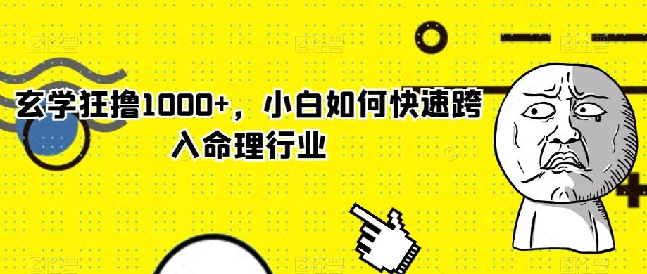 玄学狂撸1000+,小白如何快速跨入命理行业-青禾学社