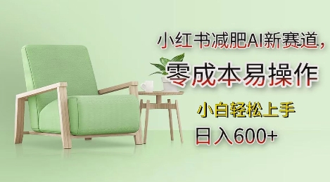 小红书减肥AI新赛道，零成本易操作，日入多张，小白轻松上手【揭秘】-青禾学社