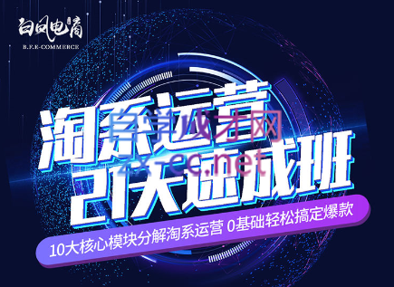 淘系运营21天速成班(更新24年5月)-青禾学社