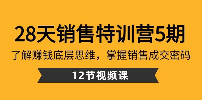 28天销售特训营5期:了解赚钱底层思维,掌握销售成交密码(12节课)-青禾学社