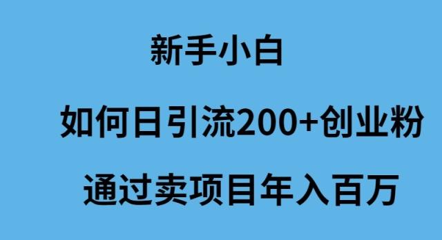 (9668期)新手小白如何日引流200+创业粉通过卖项目年入百万-青禾学社