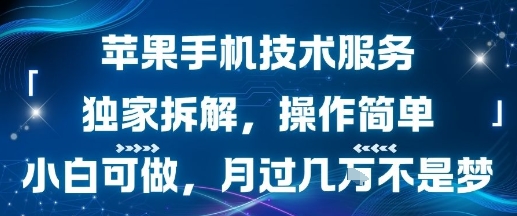 苹果手机技术服务，独家拆解，操作简单，小白可做，月过1W不是梦-青禾学社