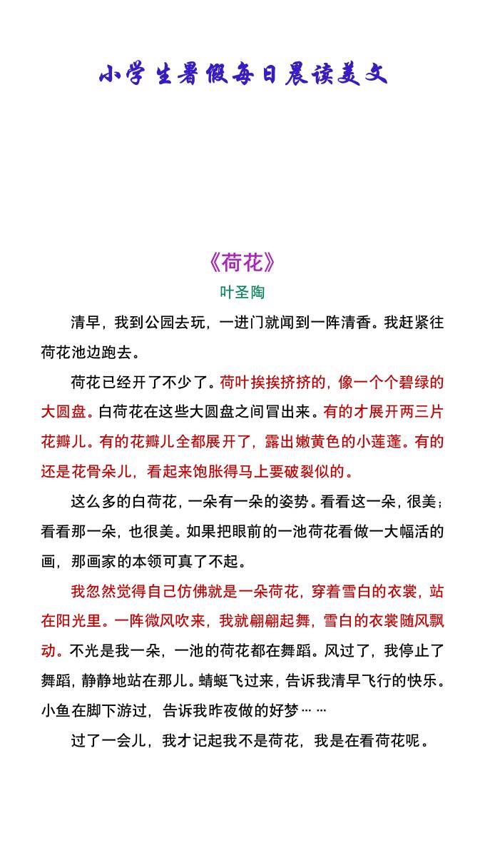 小学生暑假每日晨读美文：叶圣陶《荷花》-小升初语文-青禾学社