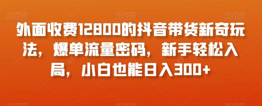 外面收费12800的抖音带货新奇玩法,爆单流量密码,新手轻松入局,小白也能日入300+【揭秘】-青禾学社
