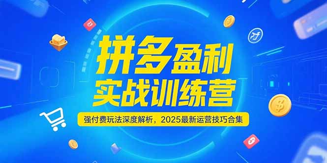 拼多多盈利实战训练营，强付费玩法深度解析，2025运营技巧合集-更新6月-青禾学社