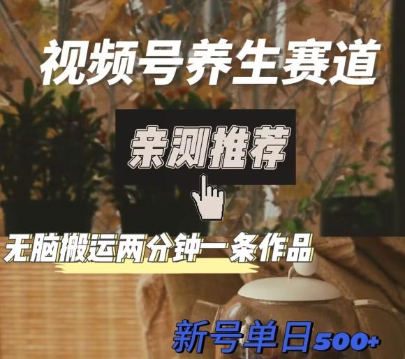 视频号养生赛道暴力掘金，无脑搬运，两分钟一条作品-新日单入500+-青禾学社